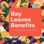 bay leave benefits