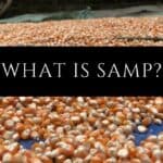 Samp for Weight loss