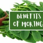 benefits of moringa